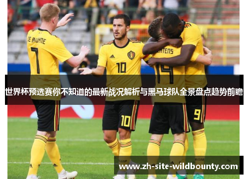 世界杯预选赛你不知道的最新战况解析与黑马球队全景盘点趋势前瞻 世界杯预选赛你不知道的最新战况解析与黑马球队全景盘点趋势前瞻