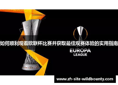 如何顺利观看欧联杯比赛并获取最佳观赛体验的实用指南