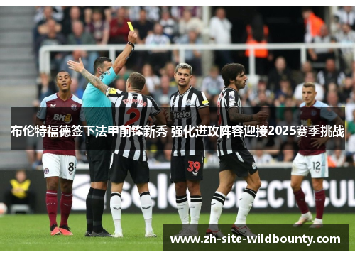 布伦特福德签下法甲前锋新秀 强化进攻阵容迎接2025赛季挑战