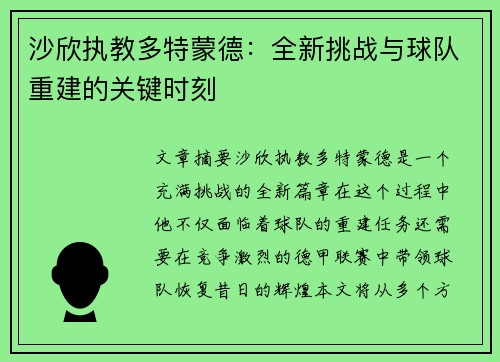 沙欣执教多特蒙德:全新挑战与球队重建的关键时刻 沙欣执教多特蒙德:全新挑战与球队重建的关键时刻